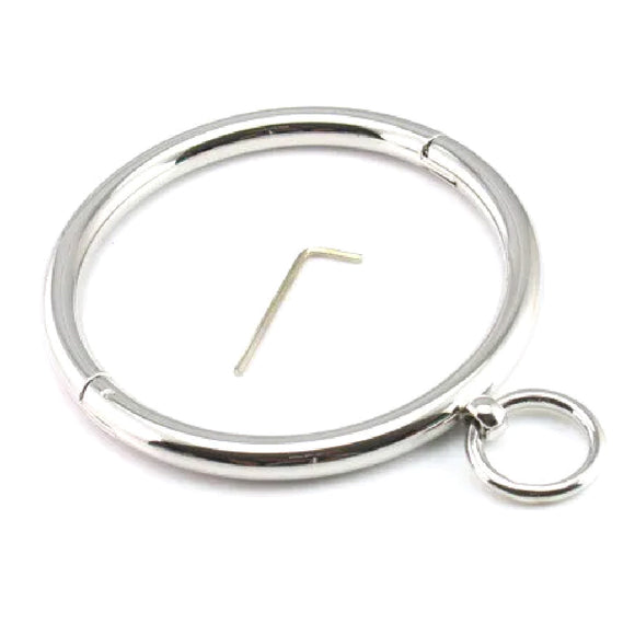 Lockable Stainless Ownership Collar