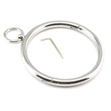  Lockable Stainless Ownership Collar 