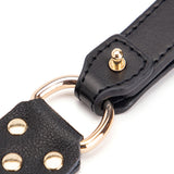  Classy Sex Collar and Leash 