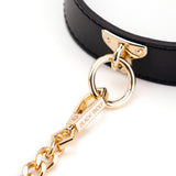  Classy Sex Collar and Leash 