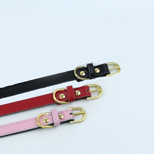 Plain Thick Leather Collar