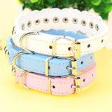  Studded Leather Collar for Humans 