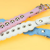  Studded Leather Collar for Humans 