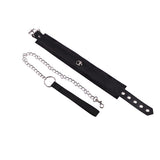  Stylish Pet Collar and Leash 