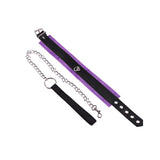  Stylish Pet Collar and Leash 