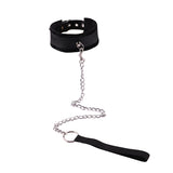  Stylish Pet Collar and Leash 