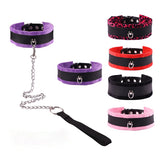 Stylish Pet Collar and Leash 