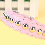  Studded Leather Collar for Humans 