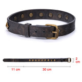  Rebellious Collar Studded Sex Toy 