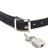  Locked Up Cuck Penis Ball Gag 