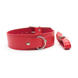  Chic Leather Leash and Collar 