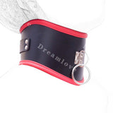  Two-Toned Leather Posture Collar 