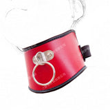  Two-Toned Leather Posture Collar 