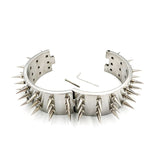  Stainless Spiked Collar for Humans 