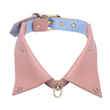  Fashionable Matching Collar and Leash 