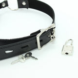  Silent Screams Ball Gag 