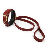 Fashionable Dog Collars for Women 