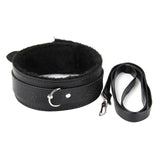  Fashionable Collar and Leash for Adults 