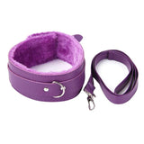  Fashionable Collar and Leash for Adults 