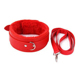 Fashionable Collar and Leash for Adults 