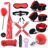  Sadist's All in One BDSM Kit 