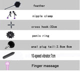  Sadist's All in One BDSM Kit 