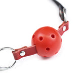  Slave's Fancy Ball Gag Sex Toy 