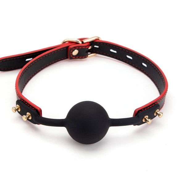 Subdue and Conquer Ball Gag Harness