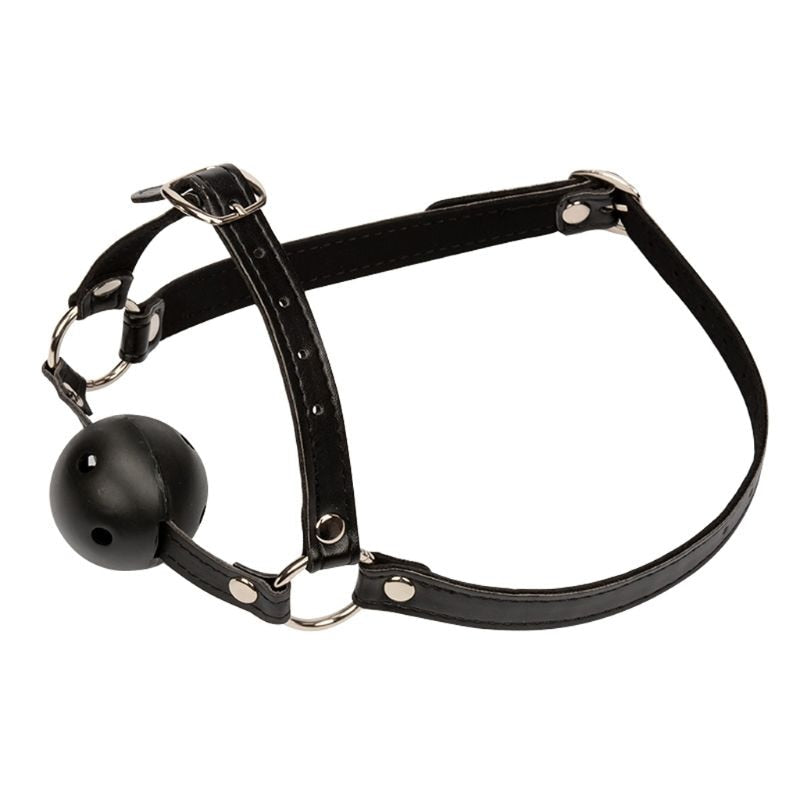 Secure Fit Lesbian Ball Gag