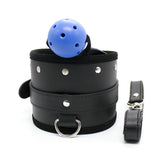  Slave Control Blue Ball Gag 