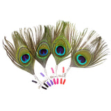  Alluring Peacock-Inspired Pussy Lip Clamps 