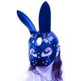  Fancy Masquerade Fetish Mask 