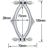  Electro Torture Pussy Clamps 