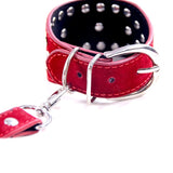  Ready for Punishment Adult Restraints 