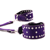  Ready for Punishment Adult Restraints 