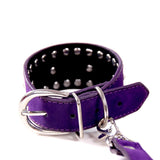  Ready for Punishment Adult Restraints 