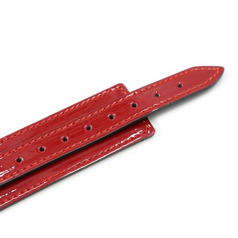 Trendy Red Leather Collar