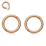  Pierce Boobsnan Glossy Nipple Rings 