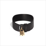  Lockable D S Collar 
