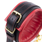  Padded Collar and Leash Set for Humans 