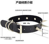  Trendy Leather Spiked Collar 