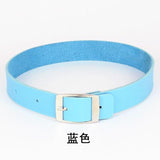  Simple Belt-Like Everyday Collar 
