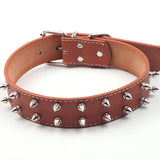  Fashionable Studded Leather Collar 