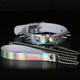  Iridescent Leash and Collar Set 