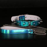  Iridescent Leash and Collar Set 