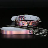  Iridescent Leash and Collar Set 
