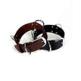  Stylish Belt Collar 