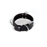  Stylish Belt Collar 