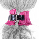  Bondage Play Corset Collar 