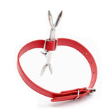  Pain-Inflicting Punishment Collar 